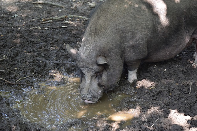 开云体育五大联赛18888元大放送